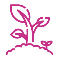 Pink Plants icon