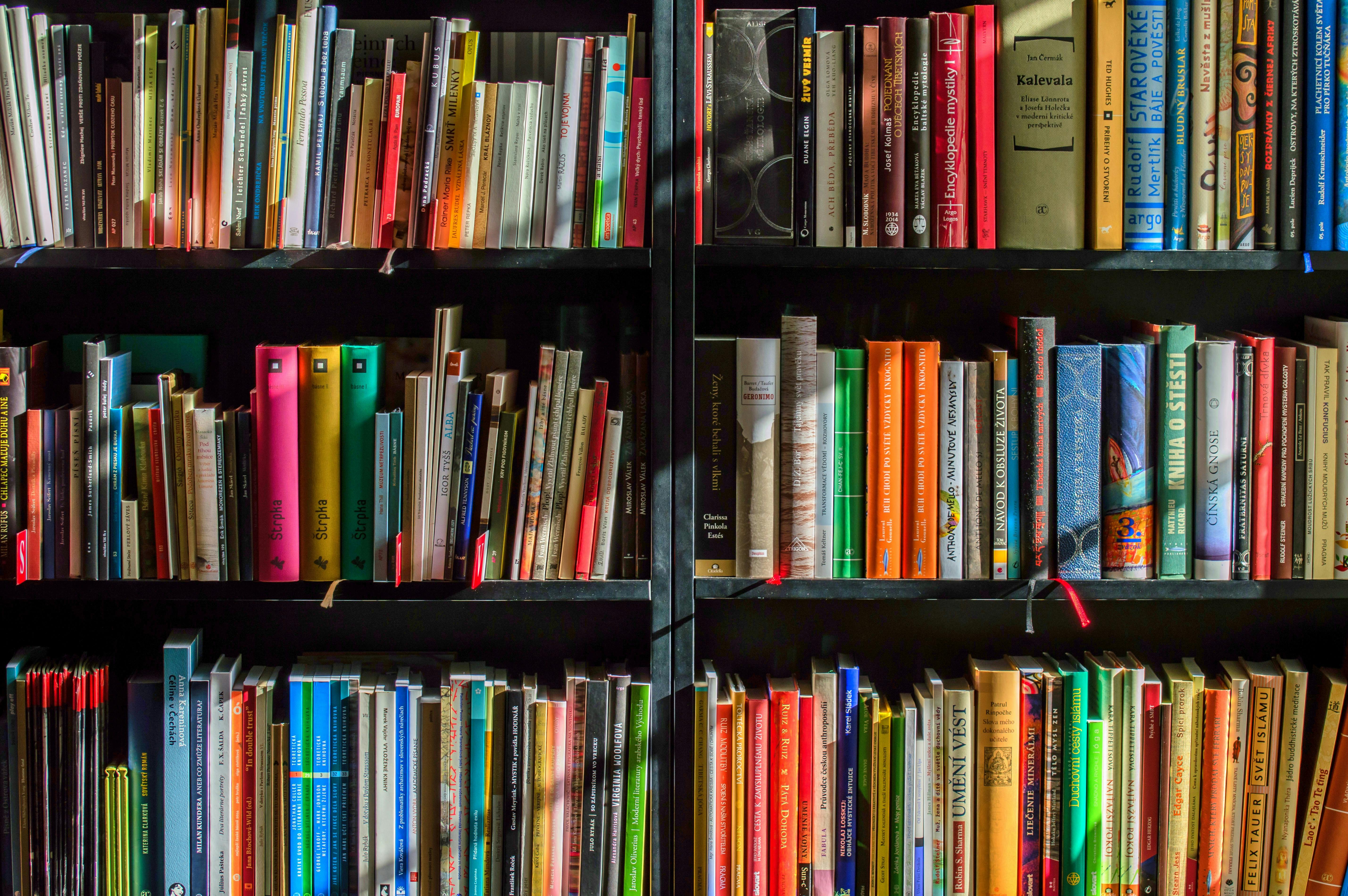 Bookshelves full of different books